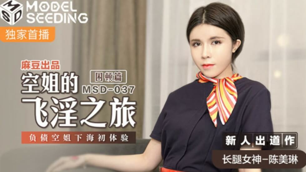 麻豆-空姐的飞淫之旅负债空姐下海初体验-陈美琳